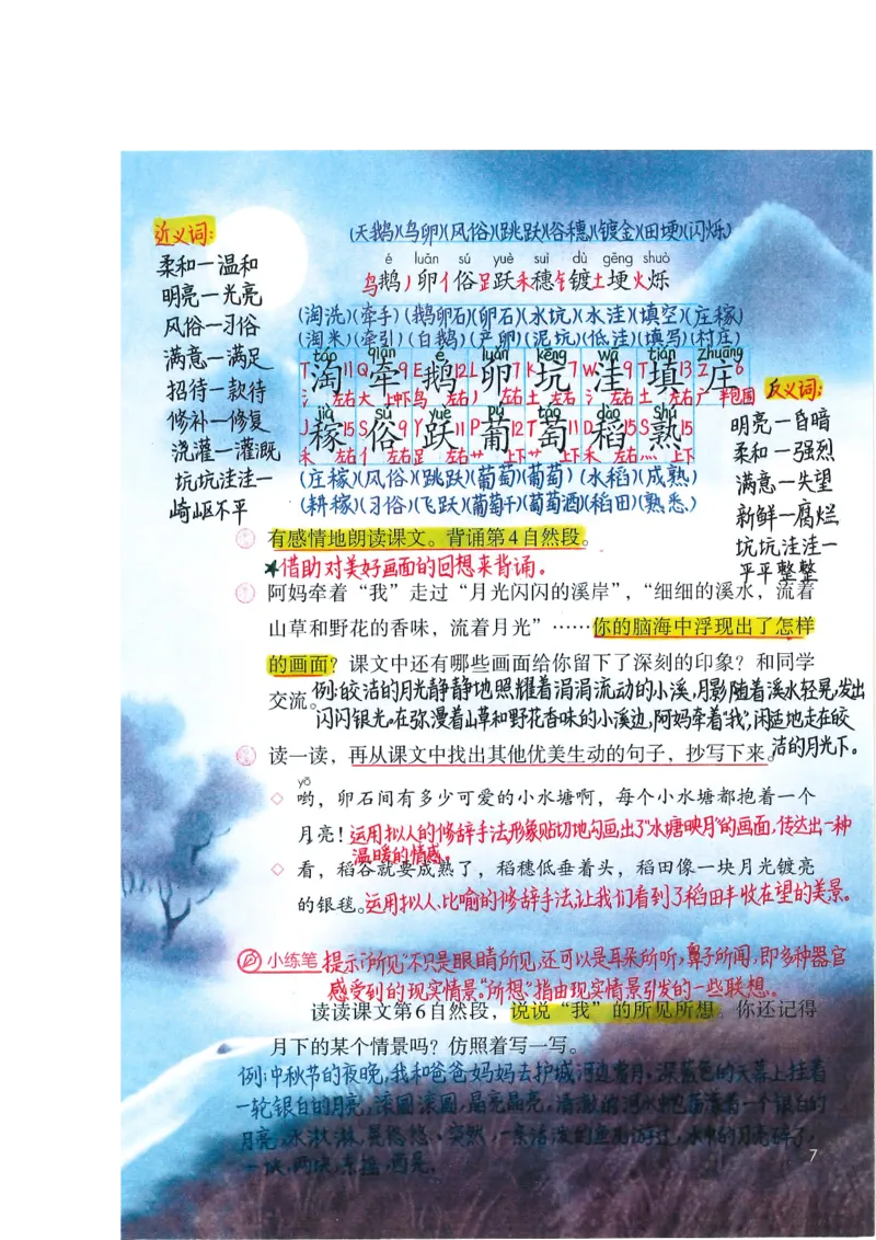 四年级上课堂笔记_小学全网线上同款资料_k92_语文