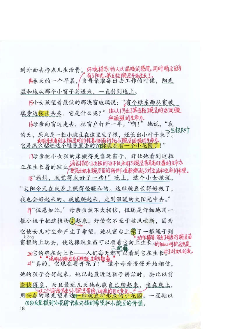 四年级上课堂笔记_小学全网线上同款资料_k92_语文