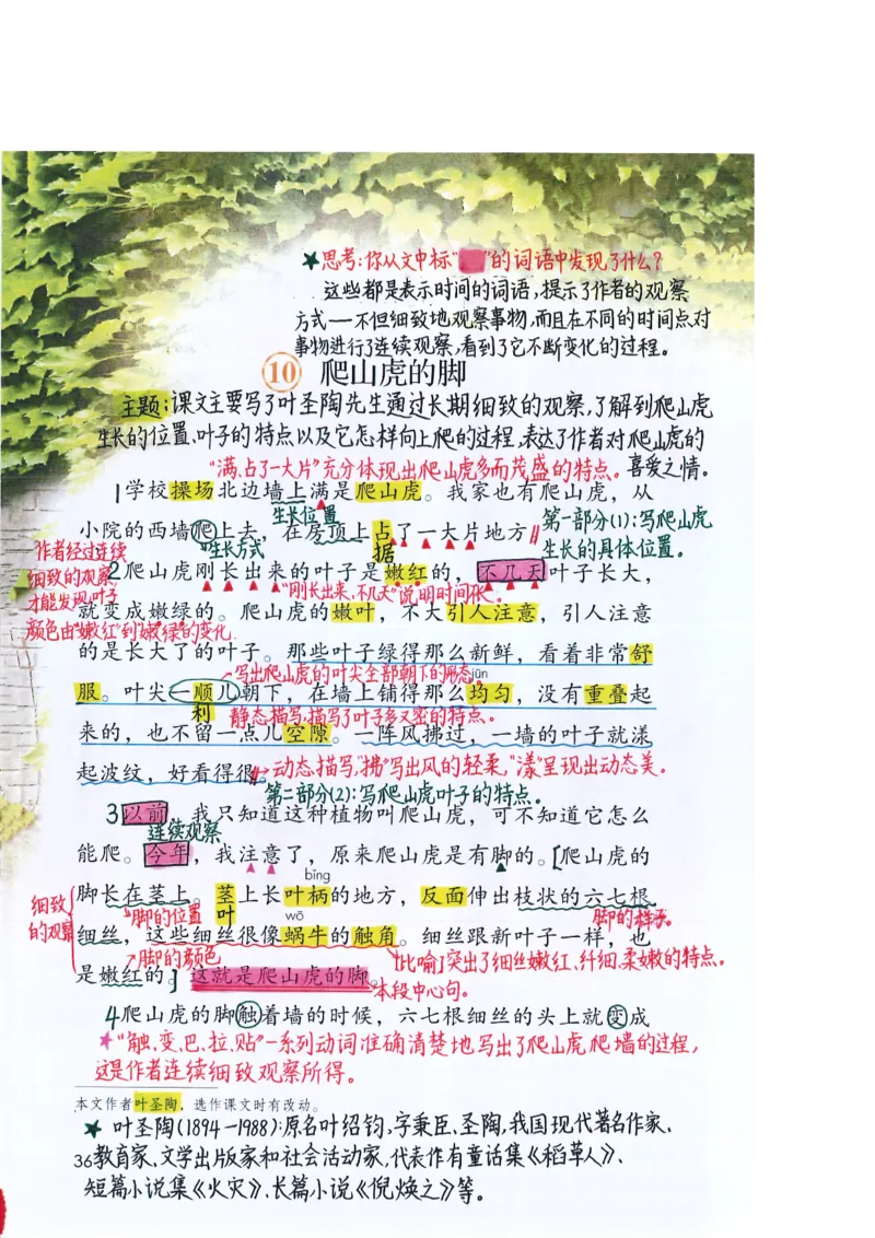 四年级上课堂笔记_小学全网线上同款资料_k92_语文