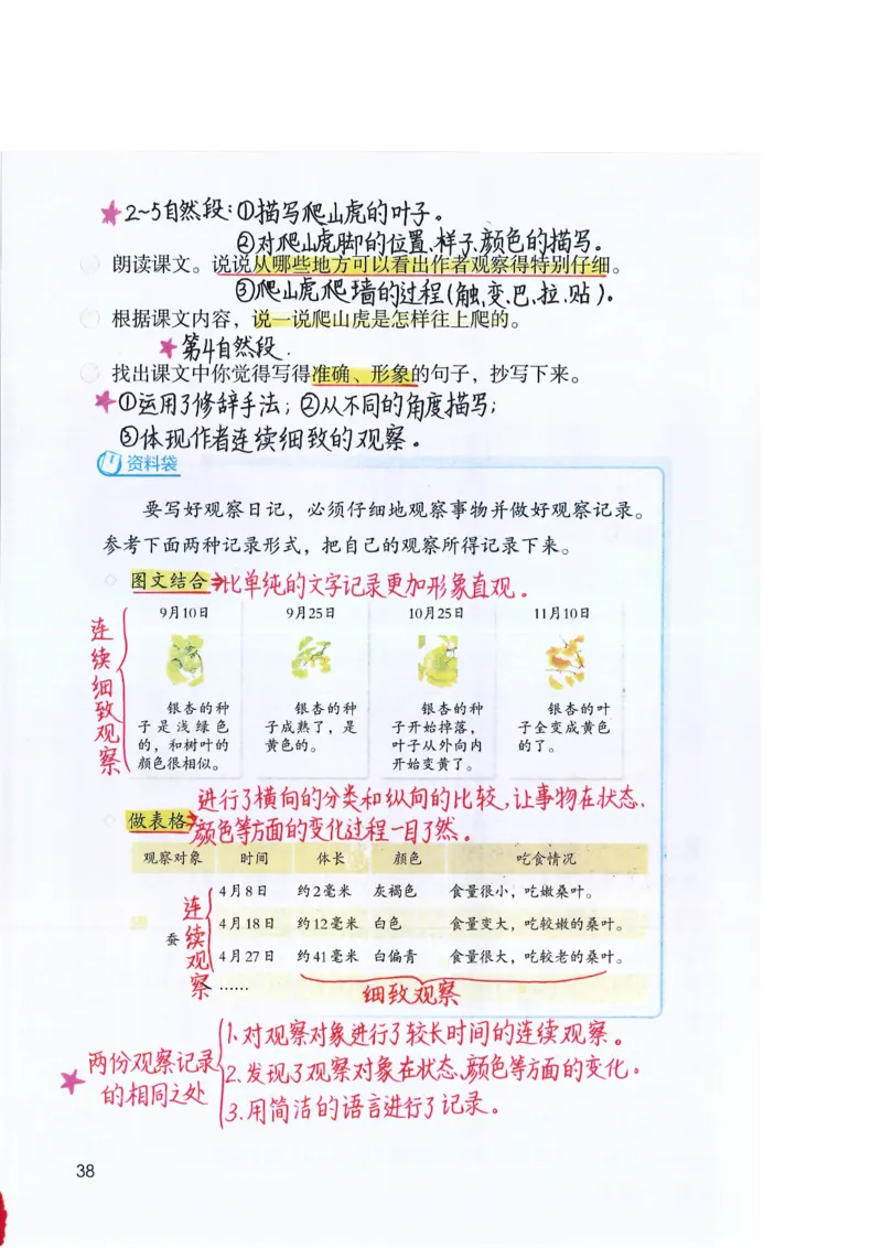 四年级上课堂笔记_小学全网线上同款资料_k92_语文