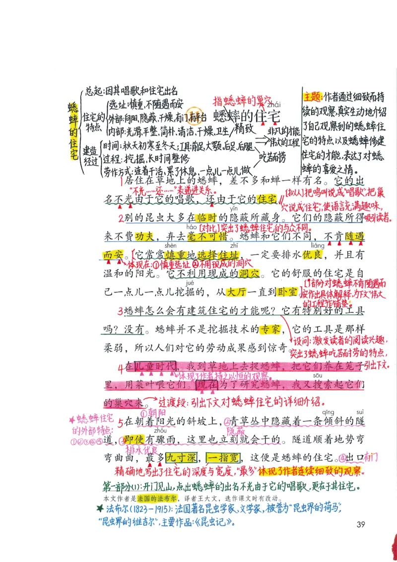 四年级上课堂笔记_小学全网线上同款资料_k92_语文