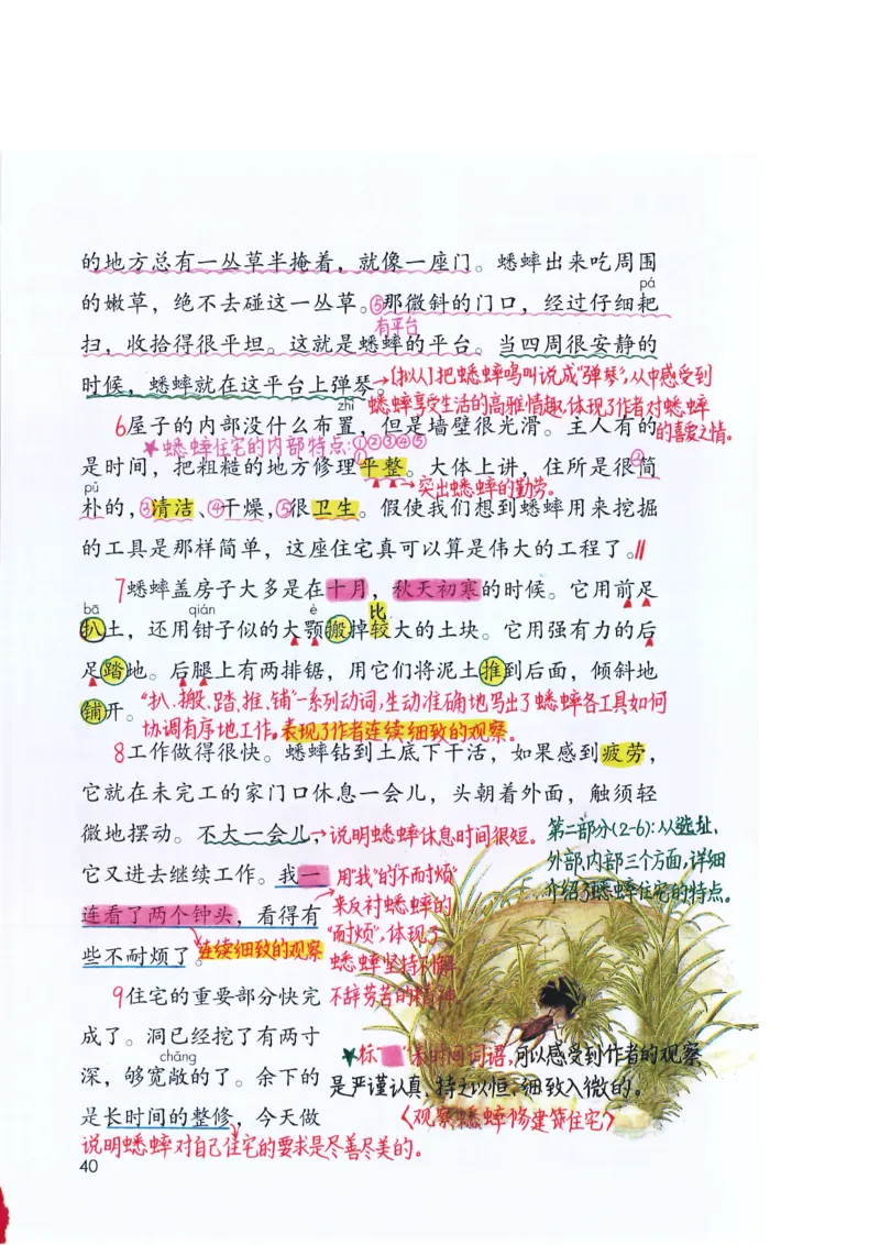 四年级上课堂笔记_小学全网线上同款资料_k92_语文