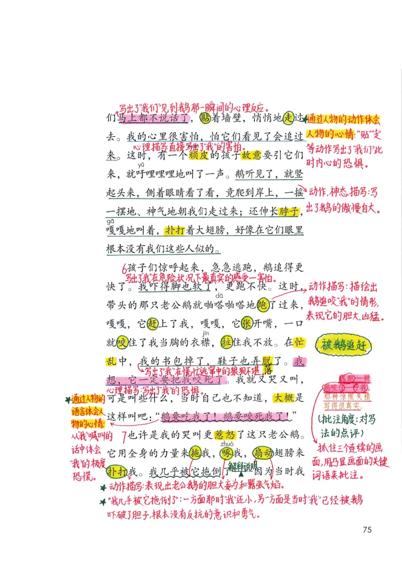 四年级上课堂笔记_小学全网线上同款资料_k92_语文