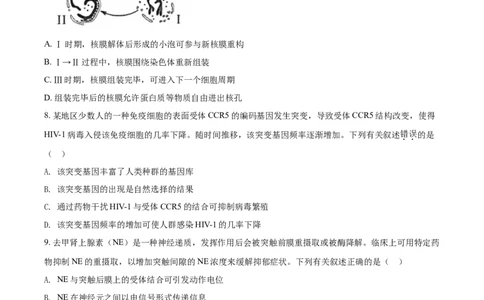 2021年高考生物试卷（海南）（空白卷）_生物历年高考真题_新&middot;Word版2008-2025&middot;高考生物真题_生物（按年份分类）2008-2025_2021&middot;高考生物真题