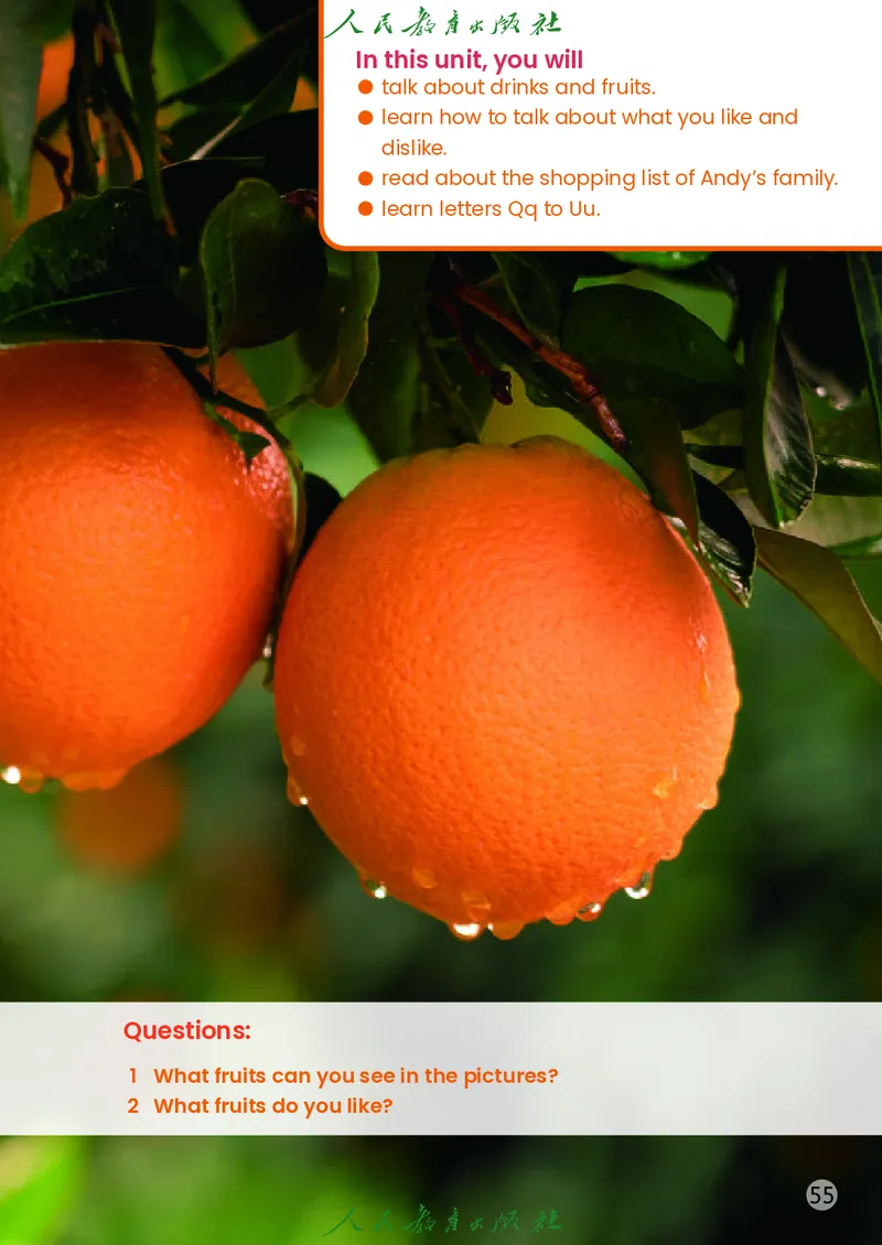 2024秋英语（精通）（三年级起点）三年级上册PDF电子课本_三年级上下册资料_三年级上语数英上下册学习资料_3-8-5、小学三年级英语上册_人教精通版_11、电子课本