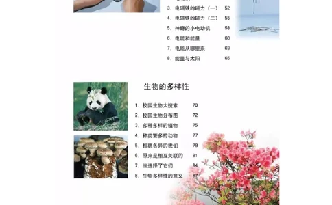 六年级上册科学教科版电子课本_全部版本&bull;小学科学电子课本_教科版小学科学电子课本_旧版