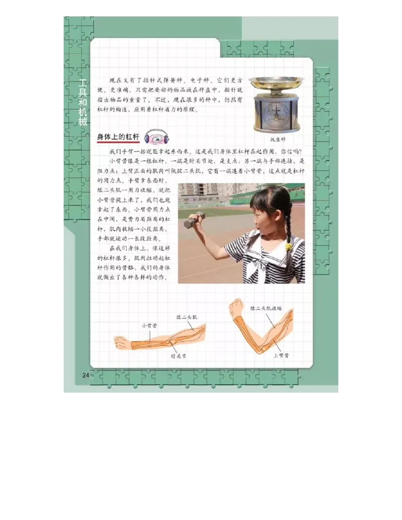 六年级上册科学教科版电子课本_全部版本&bull;小学科学电子课本_教科版小学科学电子课本_旧版