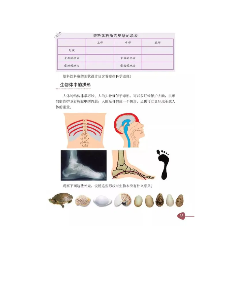 六年级上册科学教科版电子课本_全部版本&bull;小学科学电子课本_教科版小学科学电子课本_旧版