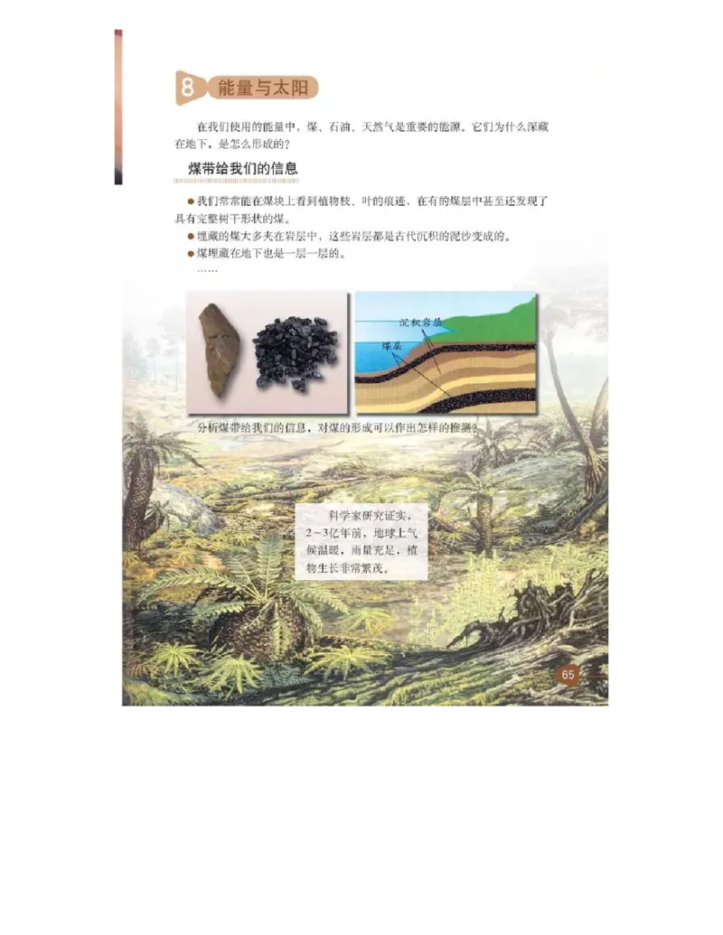 六年级上册科学教科版电子课本_全部版本&bull;小学科学电子课本_教科版小学科学电子课本_旧版