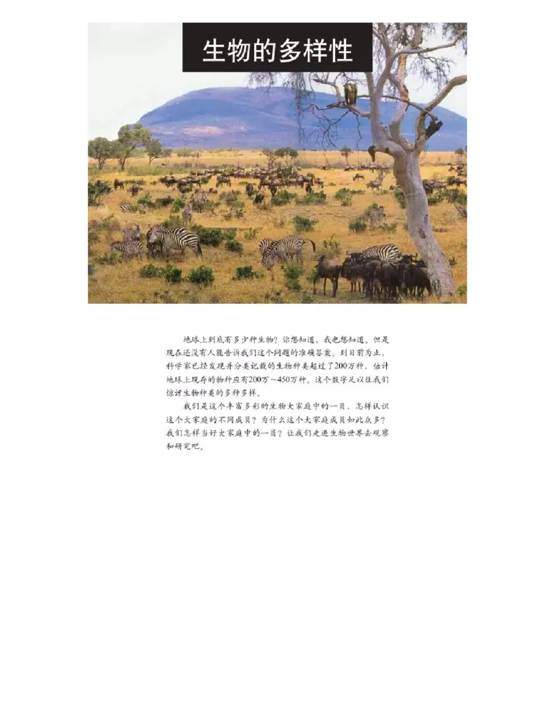 六年级上册科学教科版电子课本_全部版本&bull;小学科学电子课本_教科版小学科学电子课本_旧版