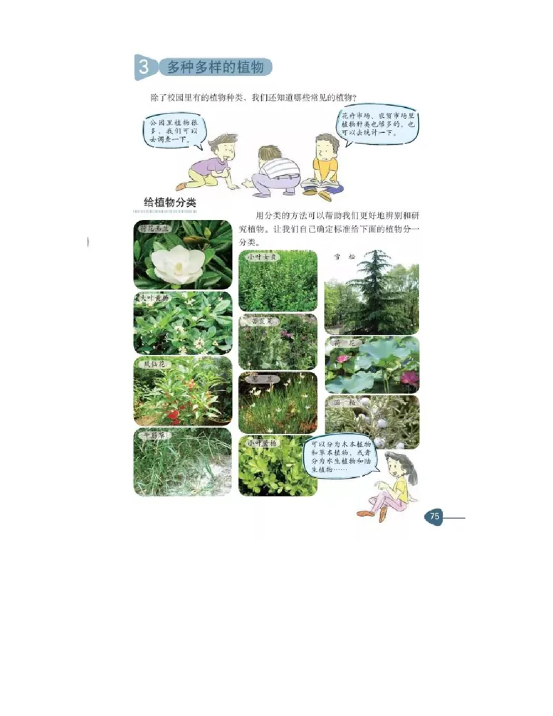 六年级上册科学教科版电子课本_全部版本&bull;小学科学电子课本_教科版小学科学电子课本_旧版