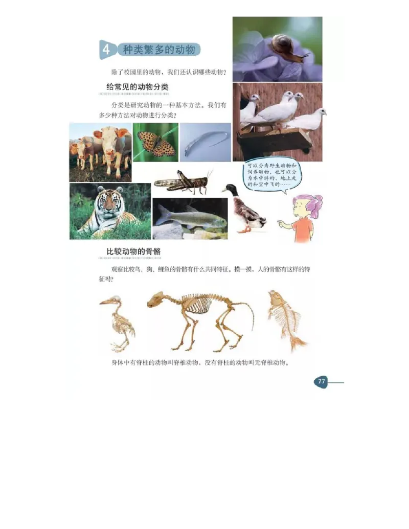 六年级上册科学教科版电子课本_全部版本&bull;小学科学电子课本_教科版小学科学电子课本_旧版