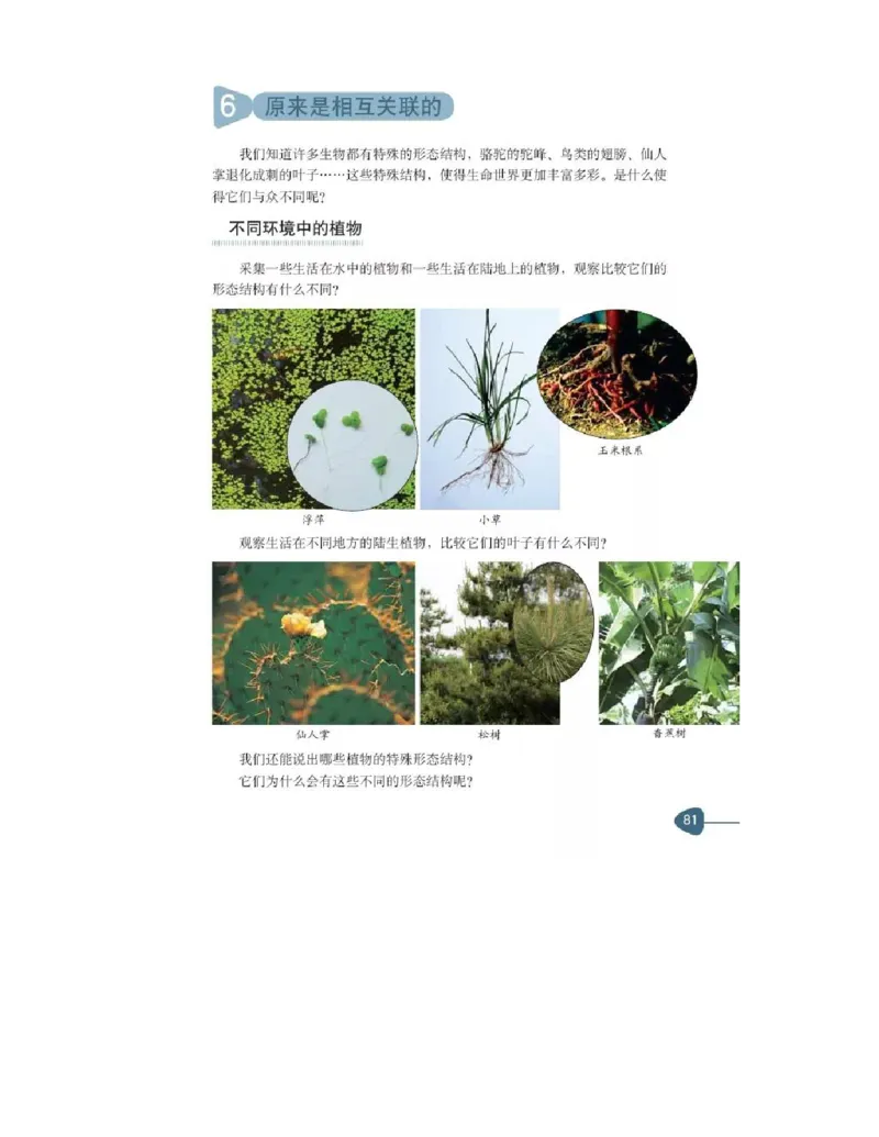 六年级上册科学教科版电子课本_全部版本&bull;小学科学电子课本_教科版小学科学电子课本_旧版