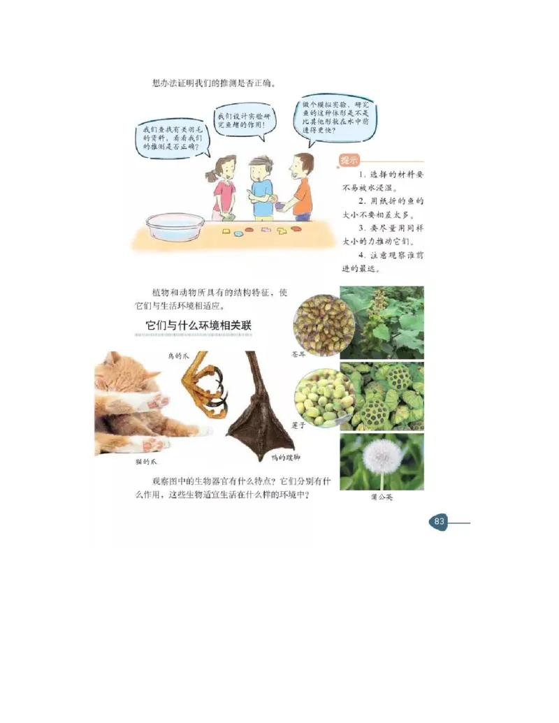 六年级上册科学教科版电子课本_全部版本&bull;小学科学电子课本_教科版小学科学电子课本_旧版