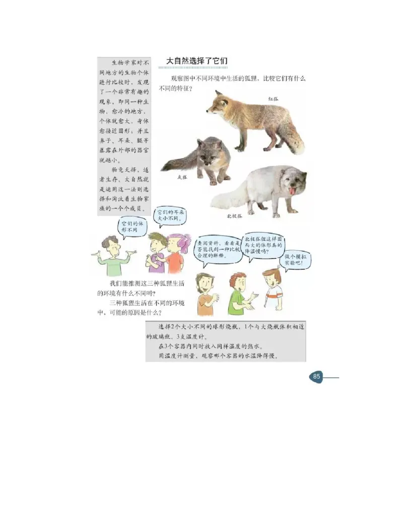 六年级上册科学教科版电子课本_全部版本&bull;小学科学电子课本_教科版小学科学电子课本_旧版