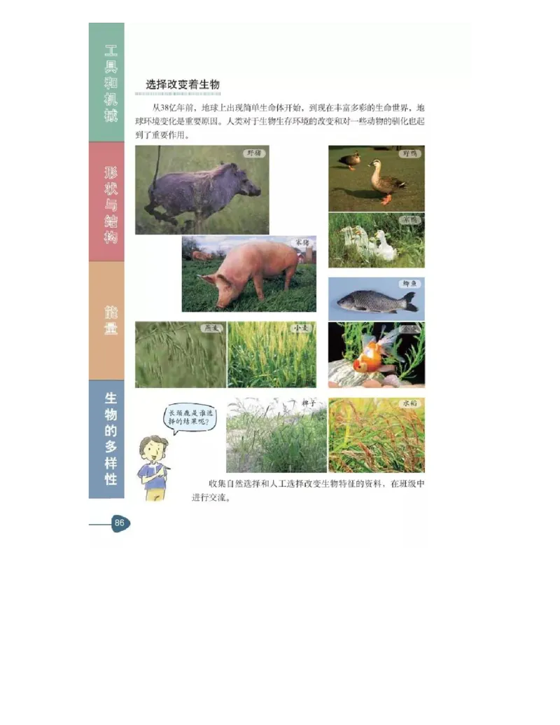 六年级上册科学教科版电子课本_全部版本&bull;小学科学电子课本_教科版小学科学电子课本_旧版