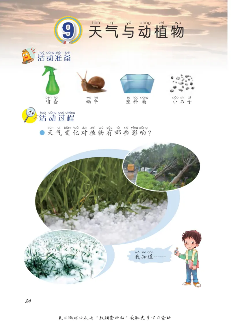 二年级下册科学青岛五四制电子课本_全部版本&bull;小学科学电子课本_青岛版54制小学科学课本