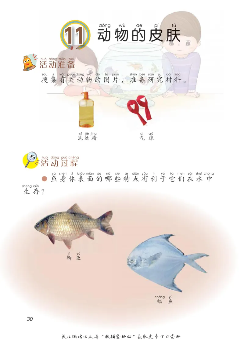 二年级下册科学青岛五四制电子课本_全部版本&bull;小学科学电子课本_青岛版54制小学科学课本