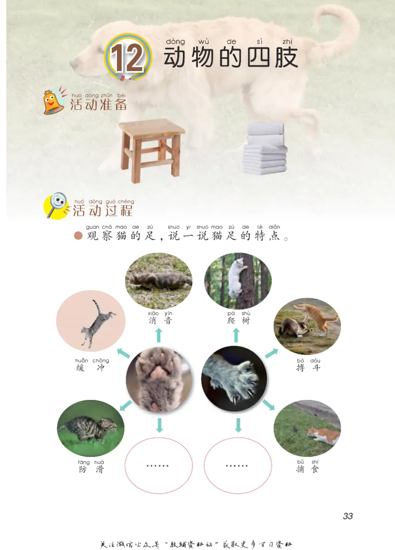 二年级下册科学青岛五四制电子课本_全部版本&bull;小学科学电子课本_青岛版54制小学科学课本