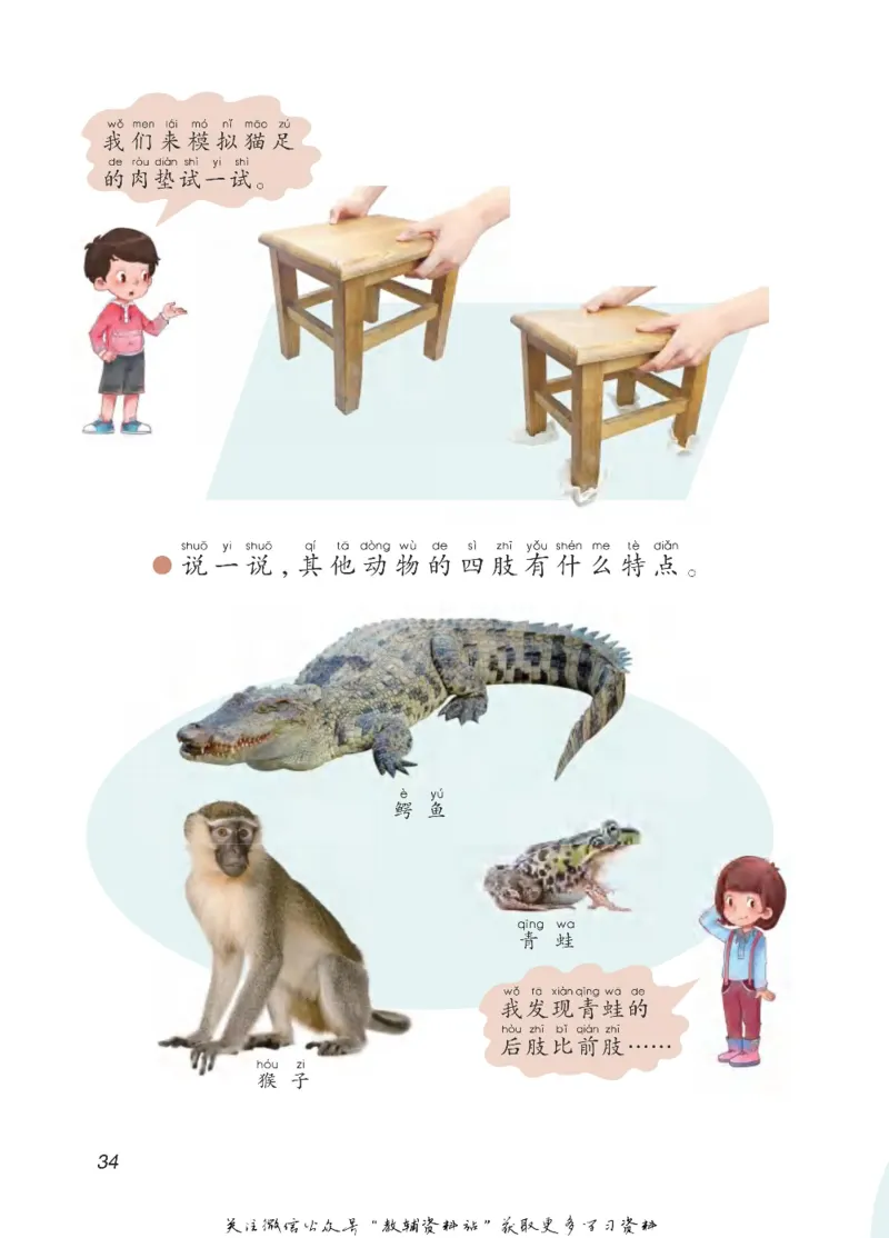 二年级下册科学青岛五四制电子课本_全部版本&bull;小学科学电子课本_青岛版54制小学科学课本