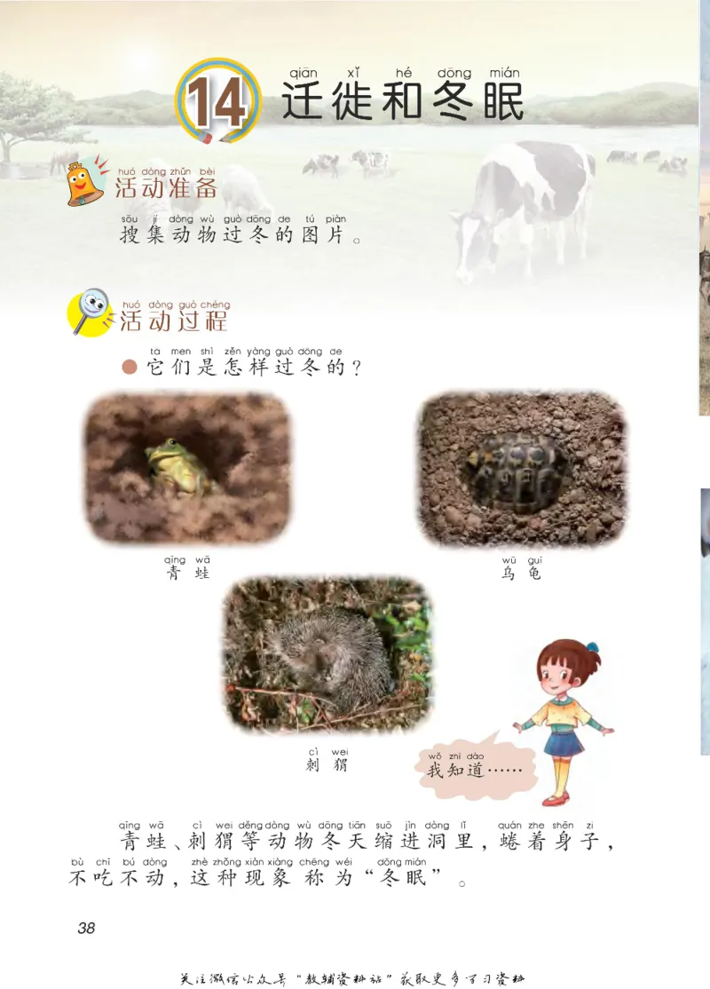 二年级下册科学青岛五四制电子课本_全部版本&bull;小学科学电子课本_青岛版54制小学科学课本