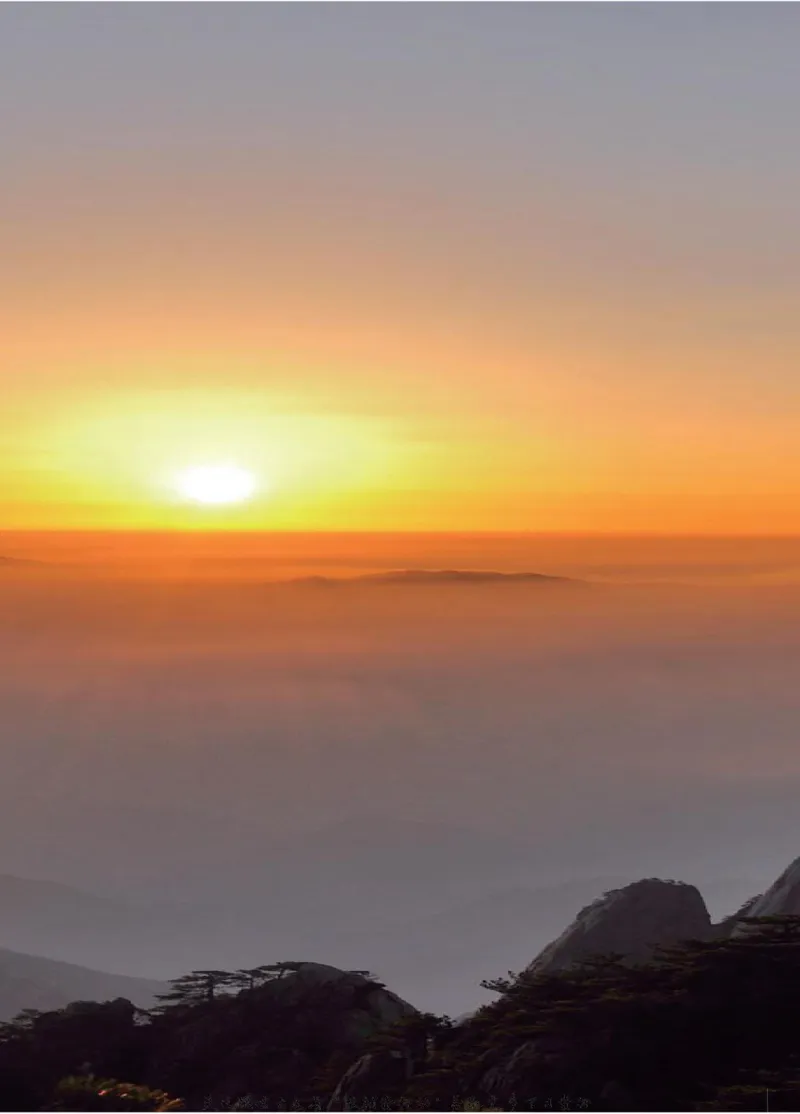 二年级下册科学青岛五四制电子课本_全部版本&bull;小学科学电子课本_青岛版54制小学科学课本