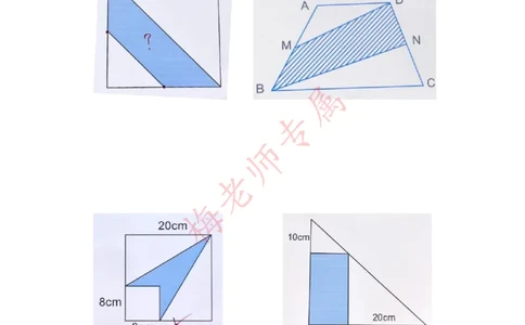 最新五上数学多边形面积易错题_小学全网线上同款资料_41号文件夹4-6年级