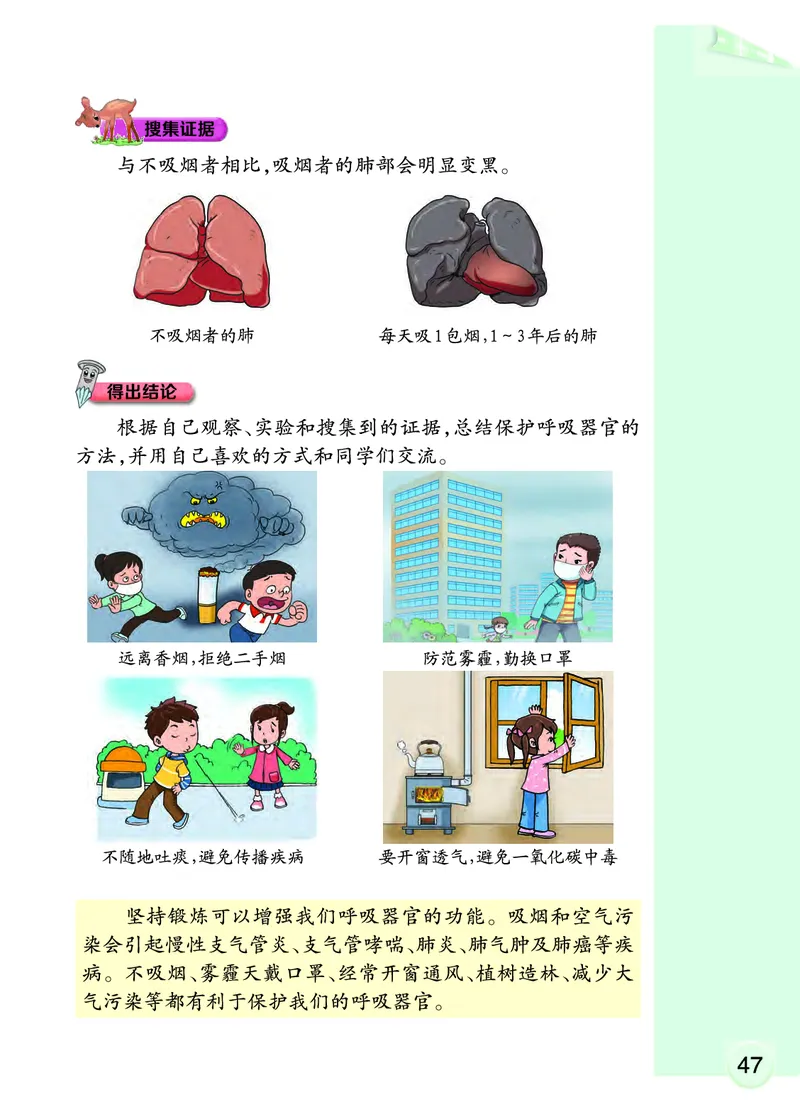 大象版4年级科学上册高清教材_全部版本&bull;小学科学电子课本_大象版小学科学电子课本