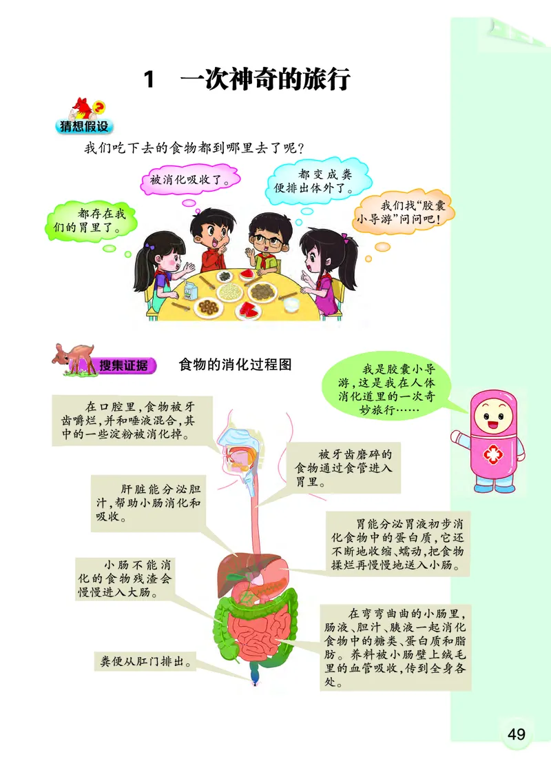 大象版4年级科学上册高清教材_全部版本&bull;小学科学电子课本_大象版小学科学电子课本