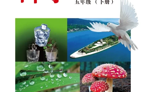 冀教版5年级科学下册高清教材_全部版本&bull;小学科学电子课本_冀教版小学科学电子课本