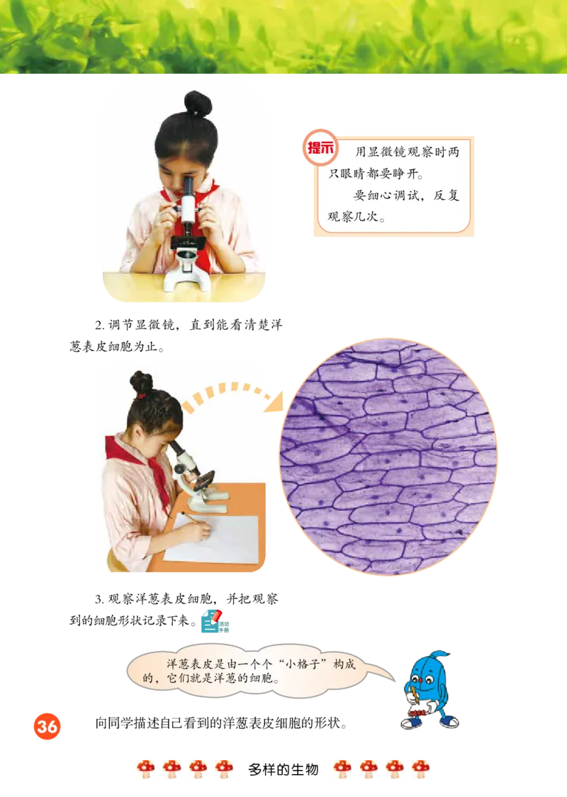 冀教版5年级科学下册高清教材_全部版本&bull;小学科学电子课本_冀教版小学科学电子课本