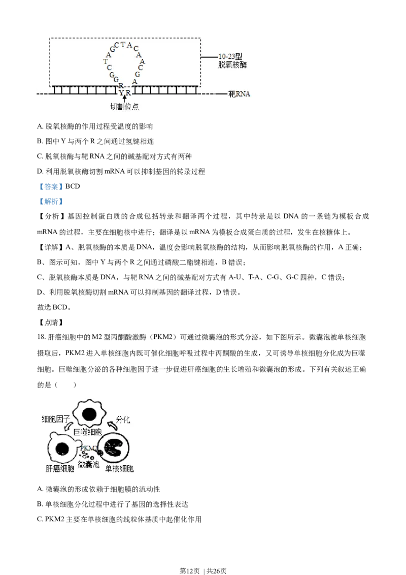 2021年高考生物试卷（辽宁）（解析卷）_生物历年高考真题_新&middot;Word版2008-2025&middot;高考生物真题_生物（按年份分类）2008-2025_2021&middot;高考生物真题
