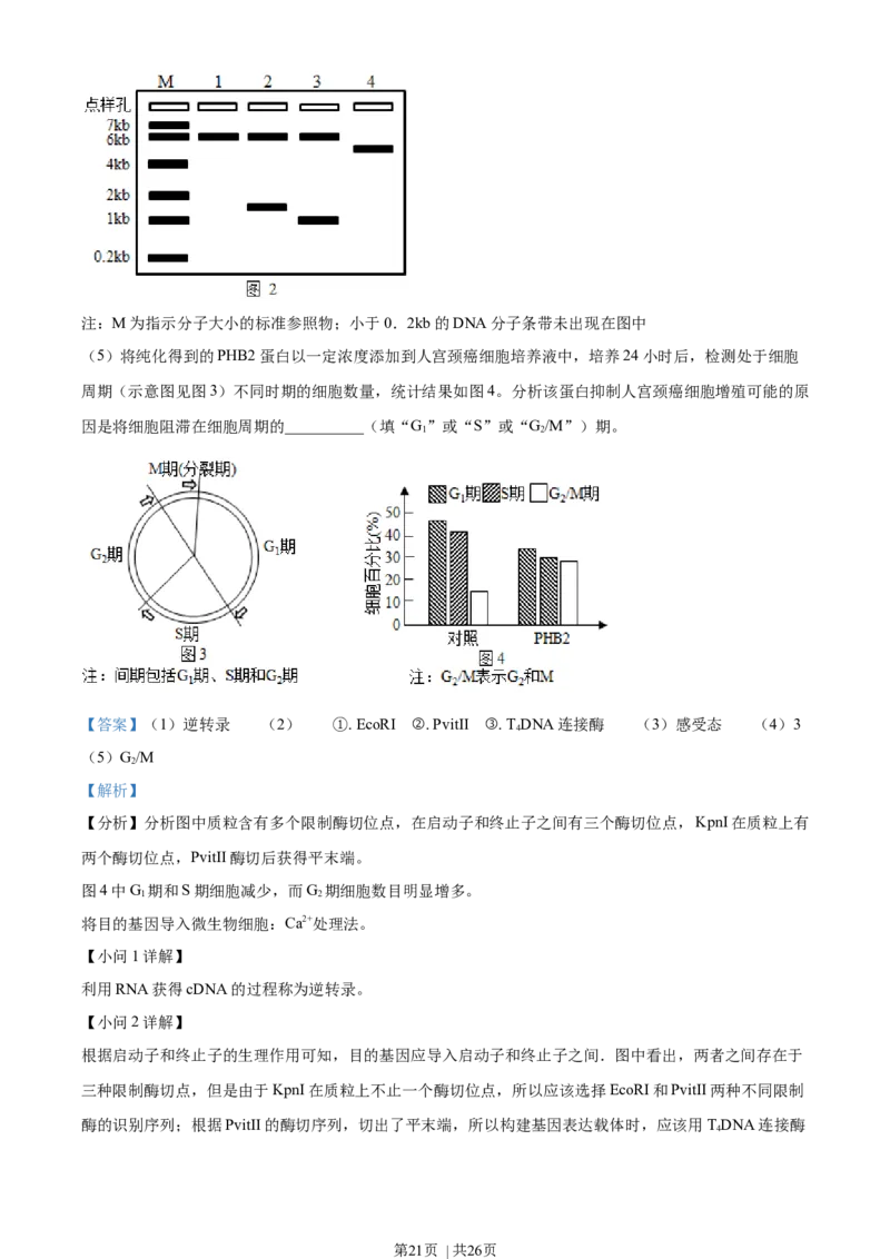 2021年高考生物试卷（辽宁）（解析卷）_生物历年高考真题_新&middot;Word版2008-2025&middot;高考生物真题_生物（按年份分类）2008-2025_2021&middot;高考生物真题
