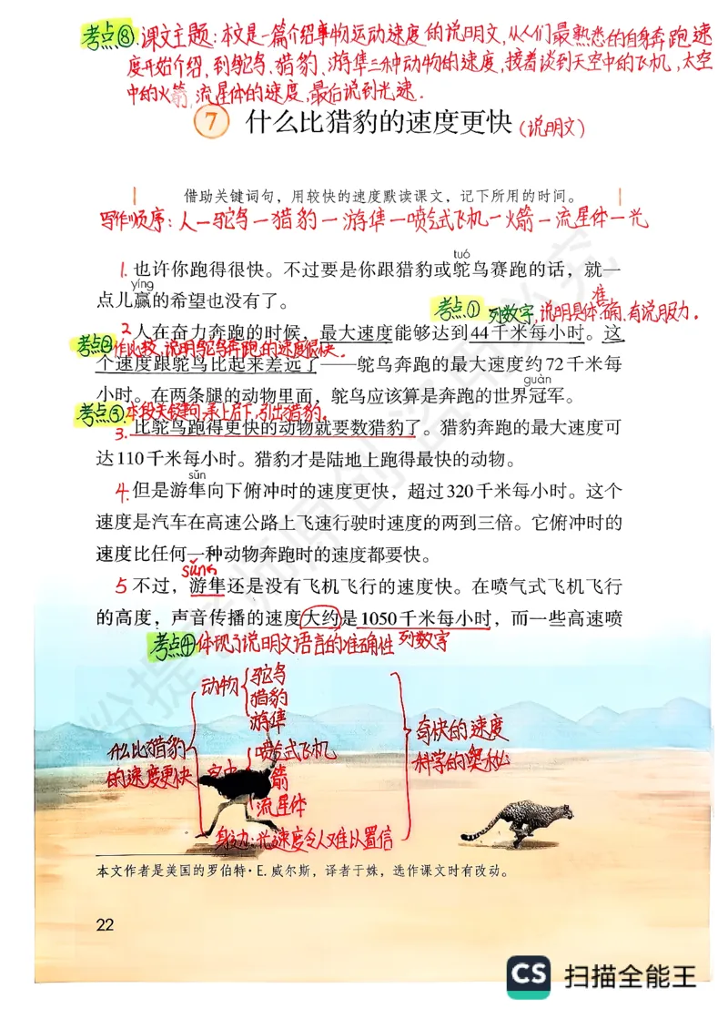 五上语文手写笔记（3）持续更新_小学全网线上同款资料_k92_语文_五上语文每课考点预习＋复习