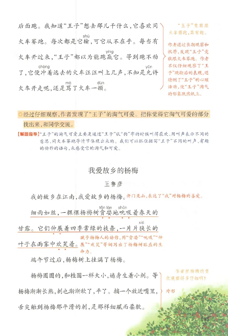 25秋《一本预习笔记》语文3_25秋《一本预习笔记》语数外，人教，北师1-6上_25秋《一本预习笔记》语文1-6_三年级预习笔记语文