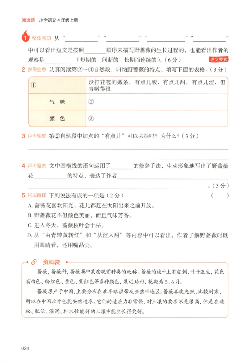 25秋《一本阅读题》4上语文_25秋《一本阅读题》语文