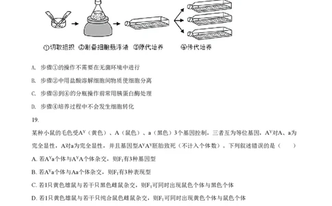 2021年高考生物试卷（浙江）1月（空白卷）_生物历年高考真题_新&middot;PDF版2008-2025&middot;高考生物真题_生物（按年份分类）2008-2025_2021&middot;高考生物真题