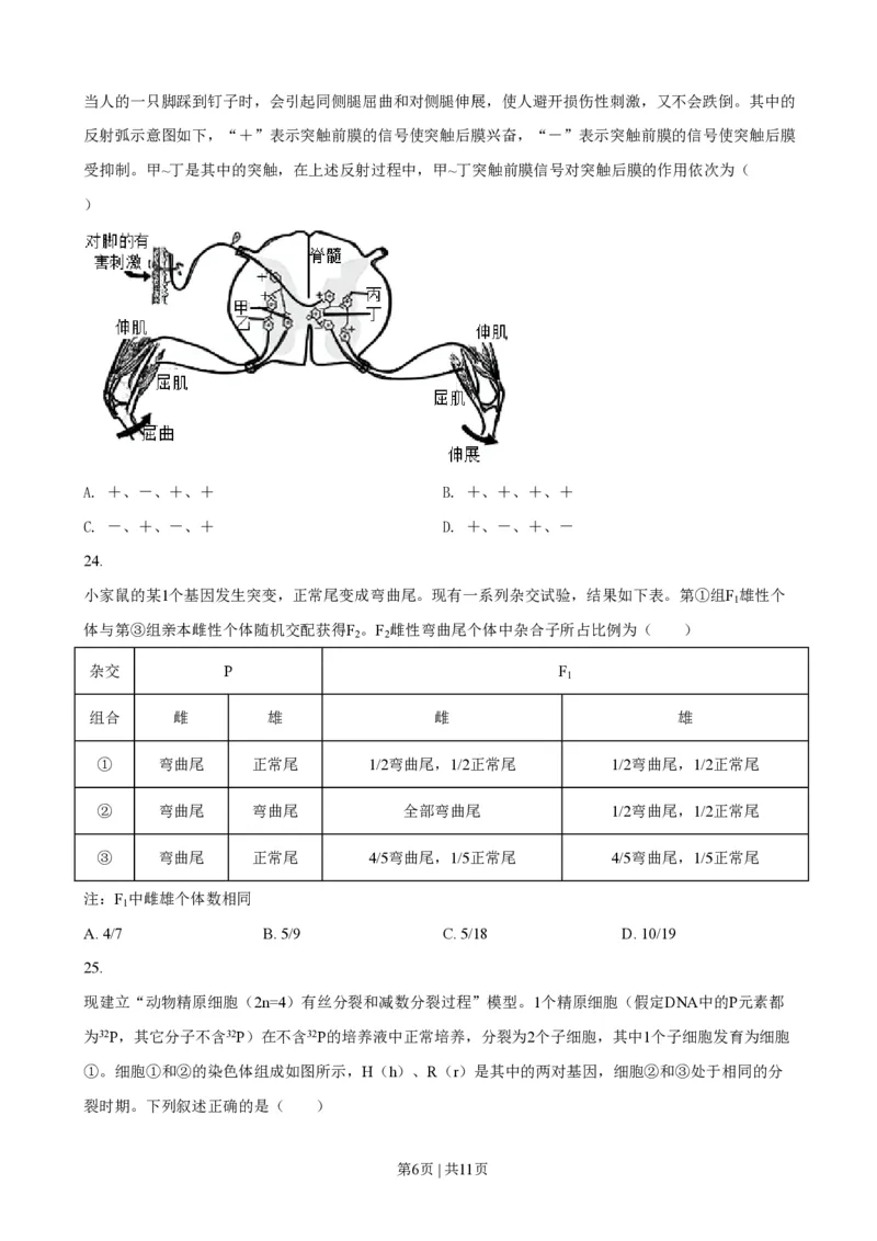 2021年高考生物试卷（浙江）1月（空白卷）_生物历年高考真题_新&middot;PDF版2008-2025&middot;高考生物真题_生物（按年份分类）2008-2025_2021&middot;高考生物真题