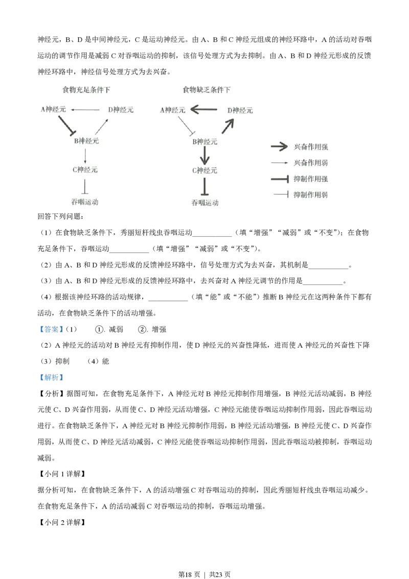 2021年高考生物试卷（湖北）（解析卷）_生物历年高考真题_新&middot;PDF版2008-2025&middot;高考生物真题_生物（按年份分类）2008-2025_2021&middot;高考生物真题