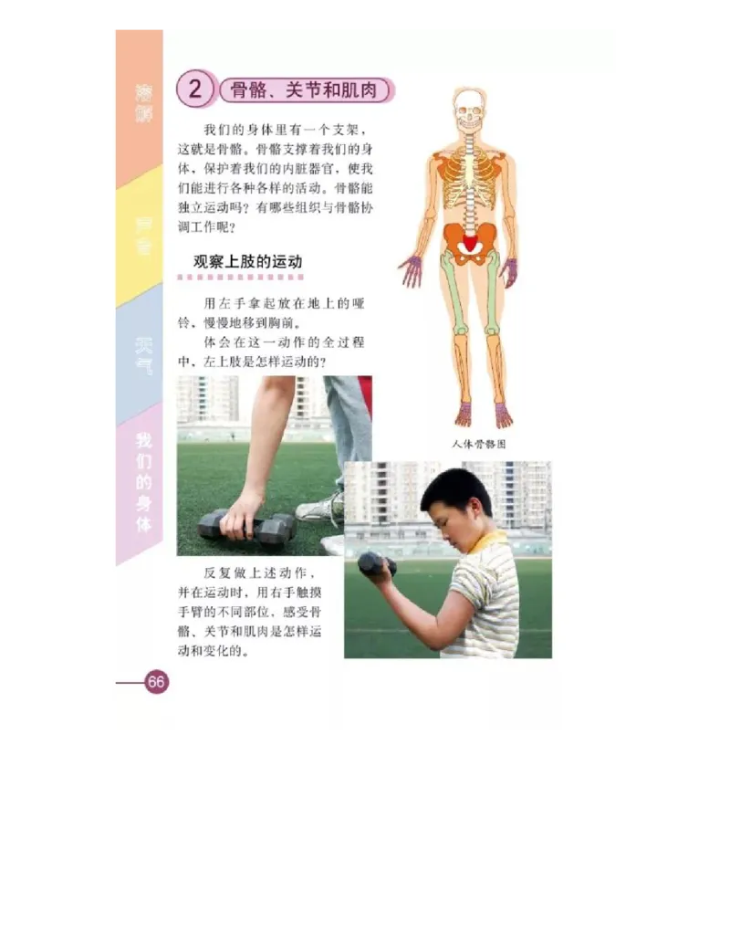 四年级上册科学教科版电子课本_全部版本&bull;小学科学电子课本_教科版小学科学电子课本_旧版