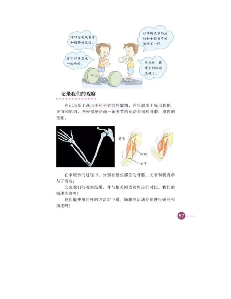 四年级上册科学教科版电子课本_全部版本&bull;小学科学电子课本_教科版小学科学电子课本_旧版