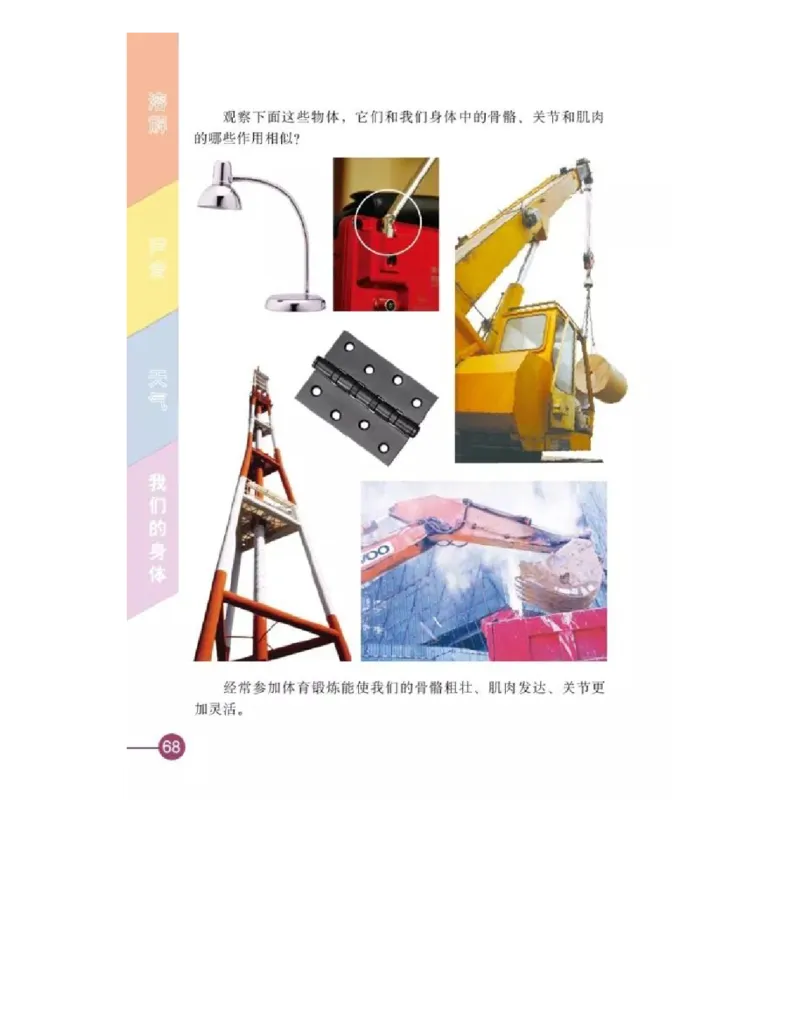 四年级上册科学教科版电子课本_全部版本&bull;小学科学电子课本_教科版小学科学电子课本_旧版