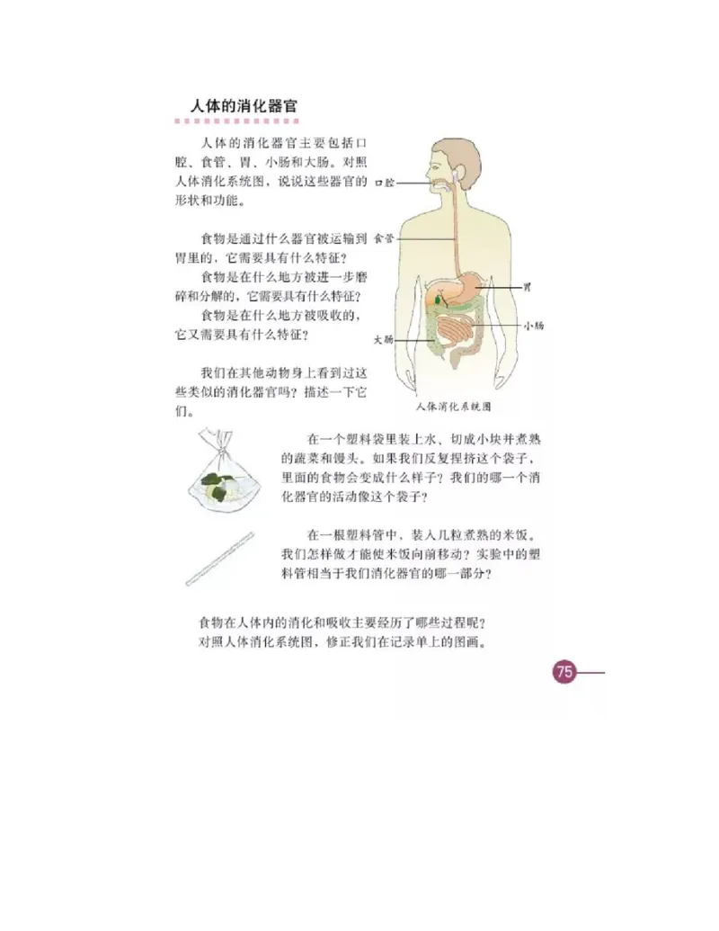 四年级上册科学教科版电子课本_全部版本&bull;小学科学电子课本_教科版小学科学电子课本_旧版