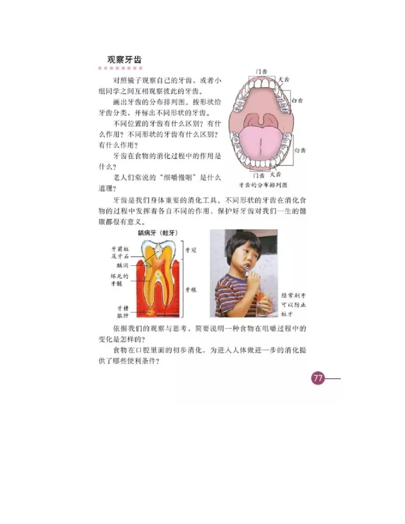 四年级上册科学教科版电子课本_全部版本&bull;小学科学电子课本_教科版小学科学电子课本_旧版