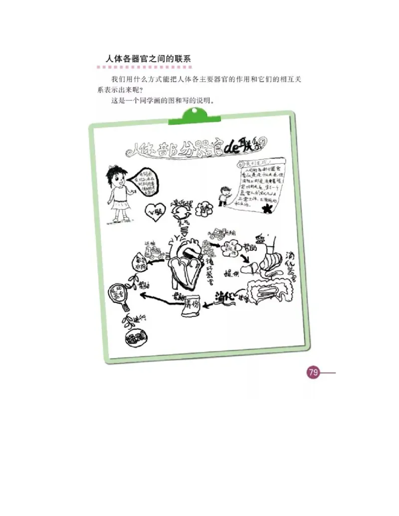 四年级上册科学教科版电子课本_全部版本&bull;小学科学电子课本_教科版小学科学电子课本_旧版