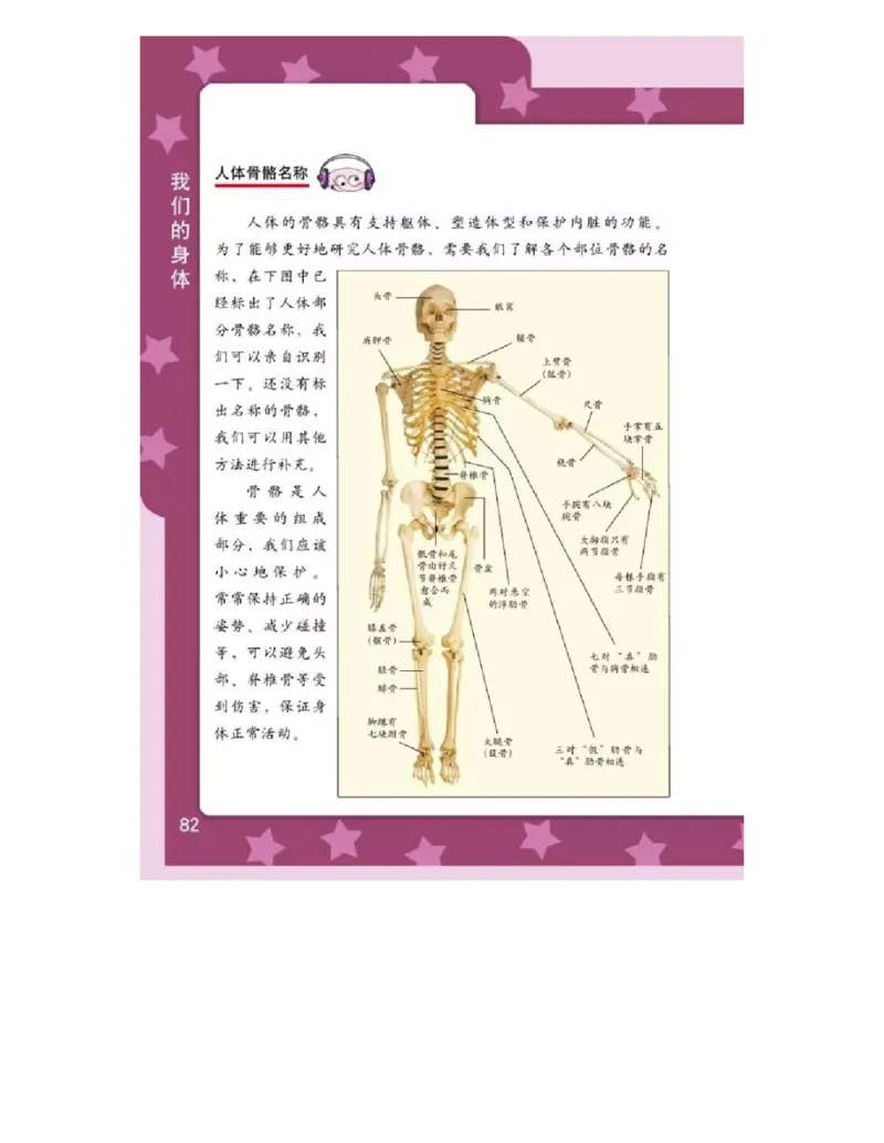 四年级上册科学教科版电子课本_全部版本&bull;小学科学电子课本_教科版小学科学电子课本_旧版