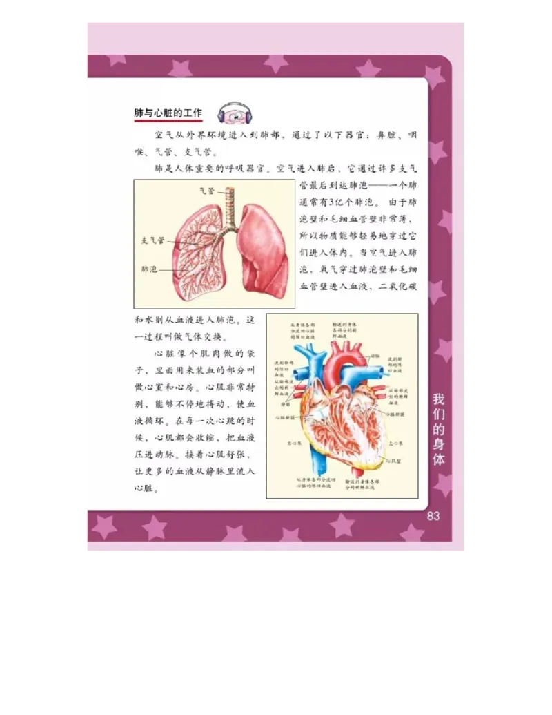 四年级上册科学教科版电子课本_全部版本&bull;小学科学电子课本_教科版小学科学电子课本_旧版