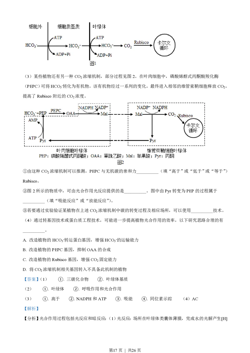 2021年高考生物试卷（辽宁）（解析卷）_生物历年高考真题_新&middot;PDF版2008-2025&middot;高考生物真题_生物（按省份分类）2008-2025_2010-2025&middot;（辽宁）生物高考真题