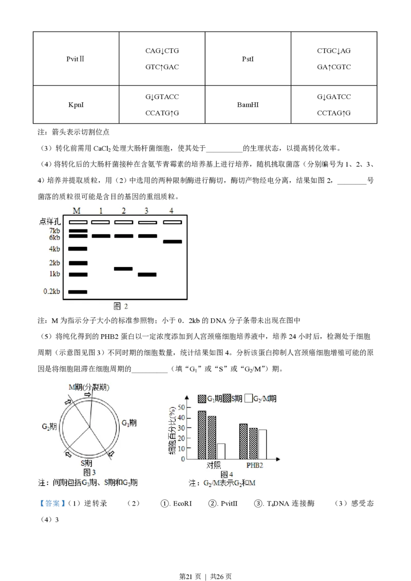2021年高考生物试卷（辽宁）（解析卷）_生物历年高考真题_新&middot;PDF版2008-2025&middot;高考生物真题_生物（按省份分类）2008-2025_2010-2025&middot;（辽宁）生物高考真题