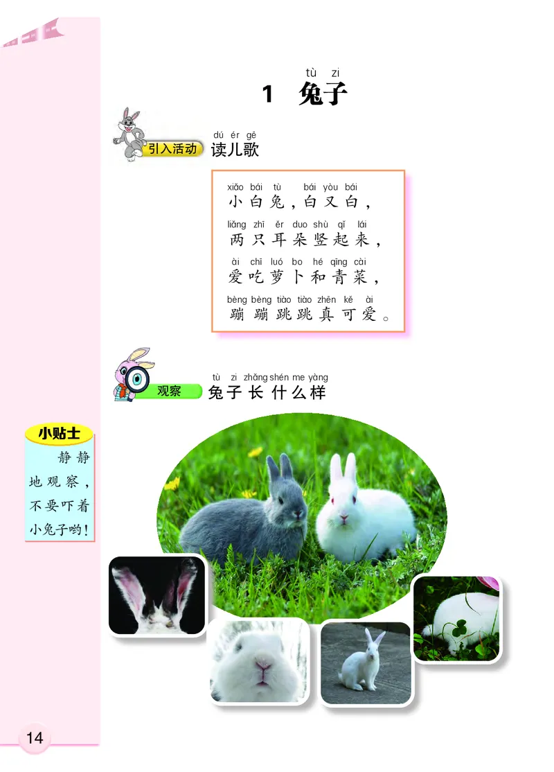 大象版1年级科学上册高清教材_全部版本&bull;小学科学电子课本_大象版小学科学电子课本